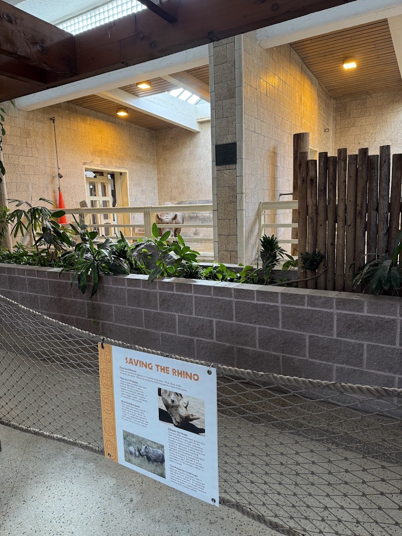 Rhinoceros Exhibit