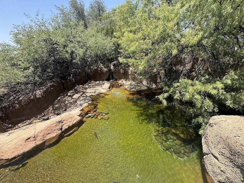 Riparian Corridor