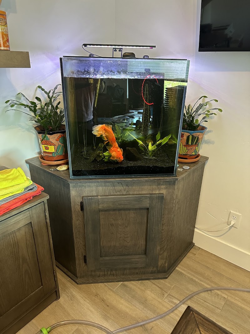 Robert’s Freshwater Aquarium Maintenance