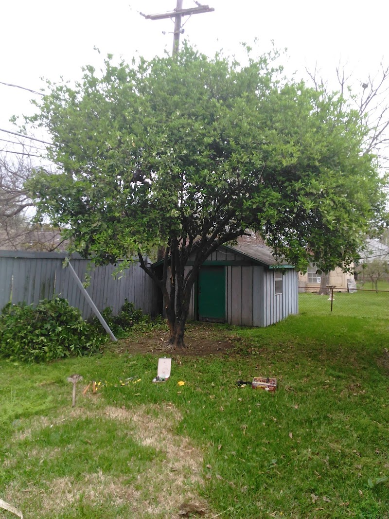 Robinson Park - Photo 10