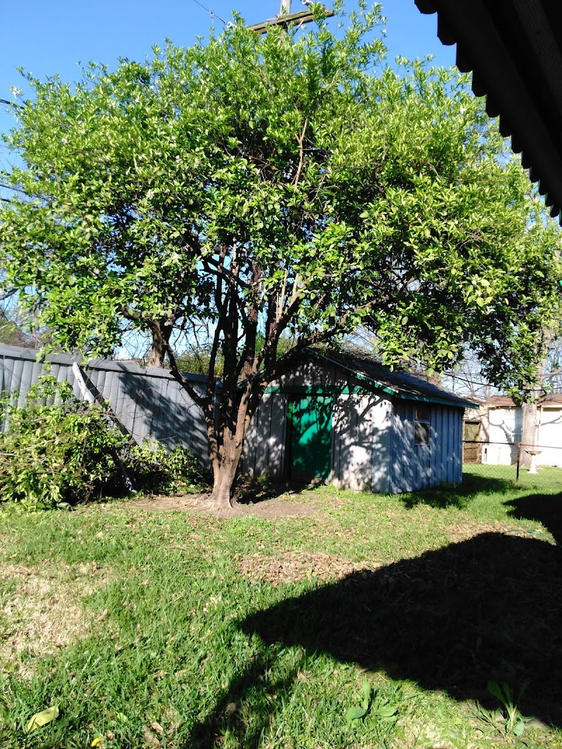 Robinson Park - Photo 3