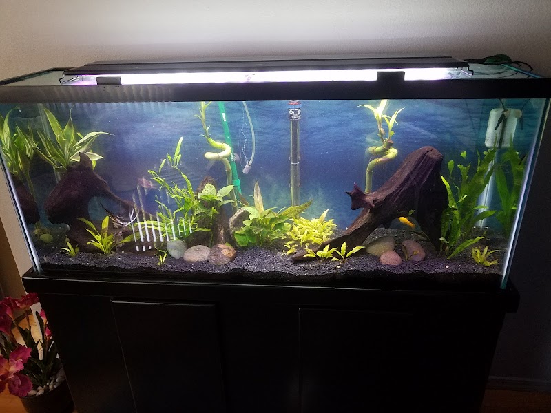 San Diego Aquarium Cleaning