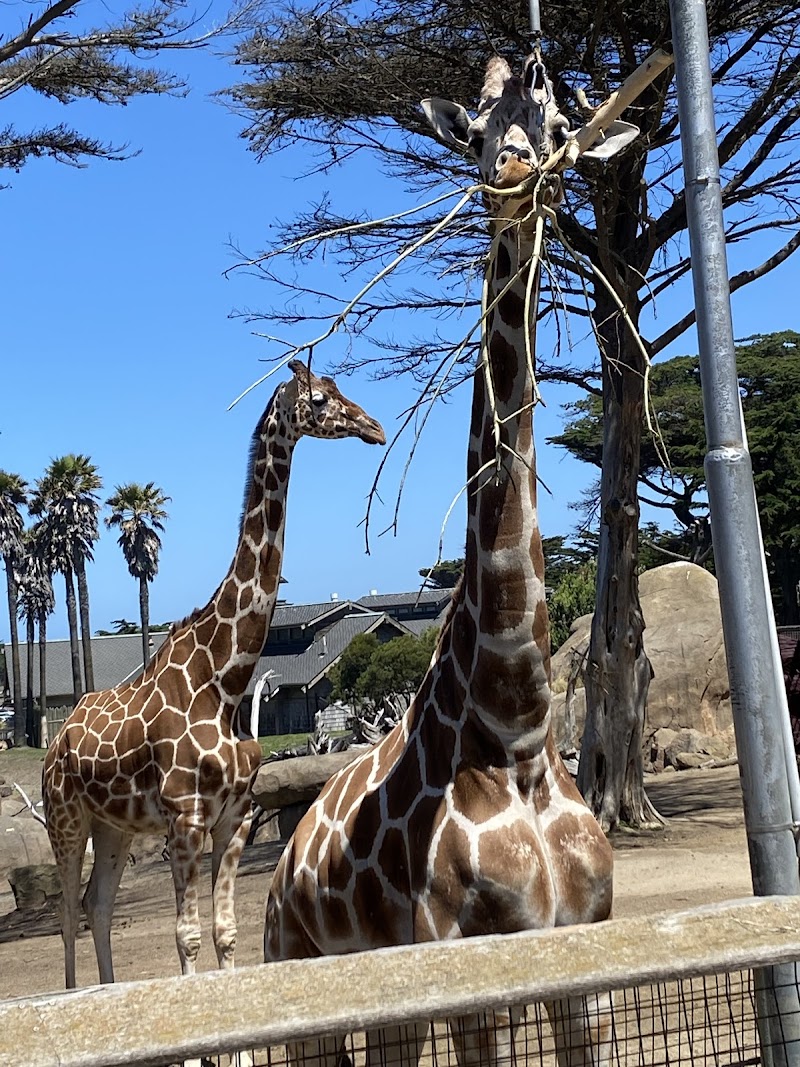 San Francisco Zoo
