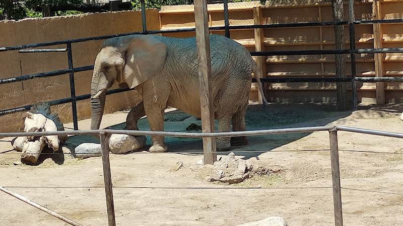 San Jorge Zoo