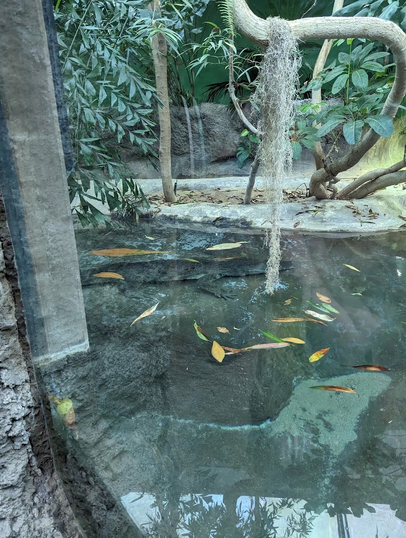 Schlessman Family Foundation Tropical Discovery