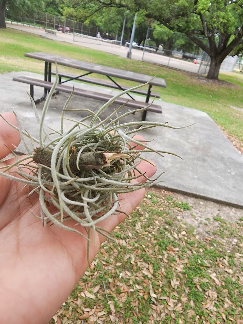 Schwartz Park - Photo 8