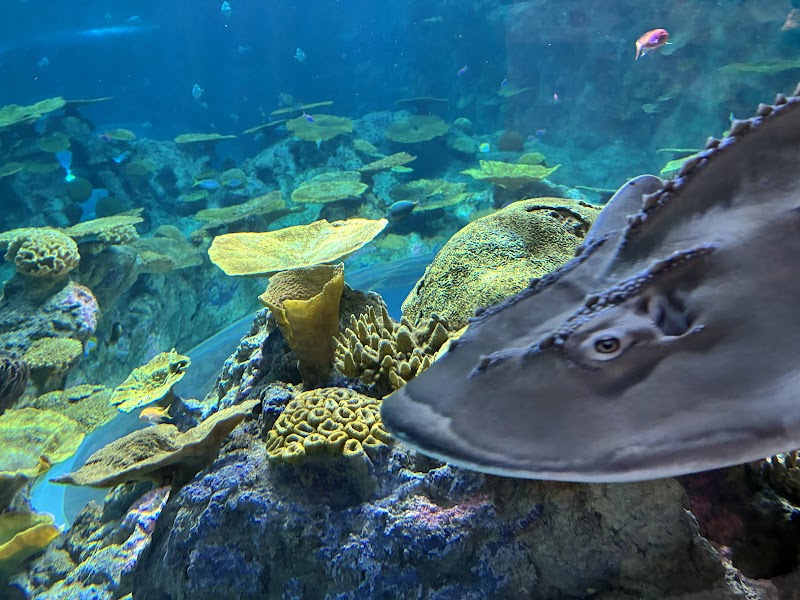 Seattle Aquarium Ocean Pavilion