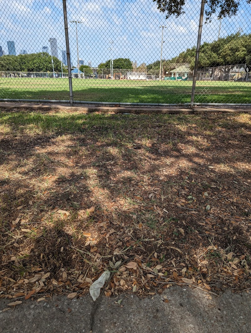 Settegast Park - Photo 5