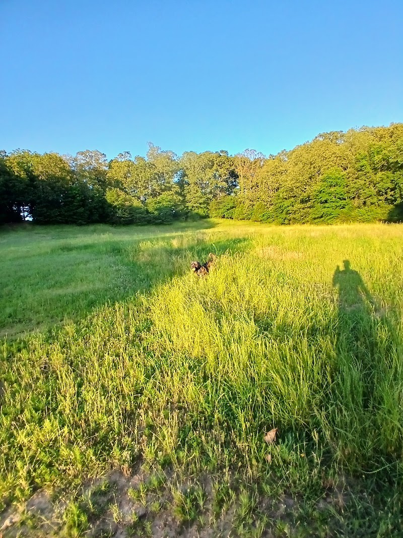 Shelby Farms Dog Park