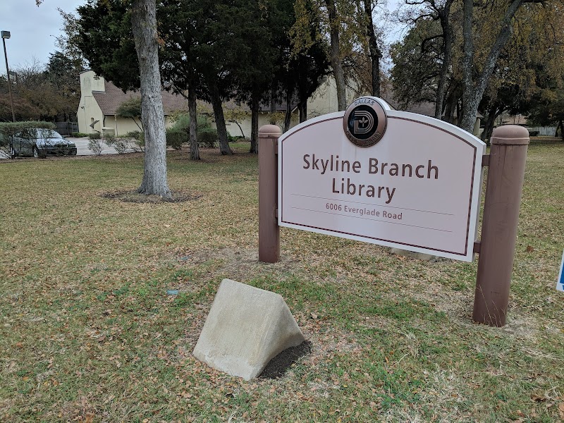 Skyline Branch Library - Photo 2