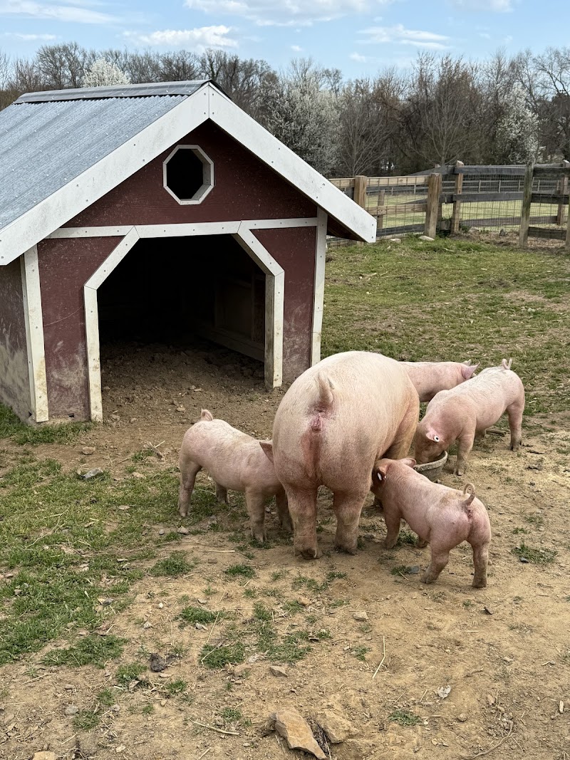 Small Animal Barn
