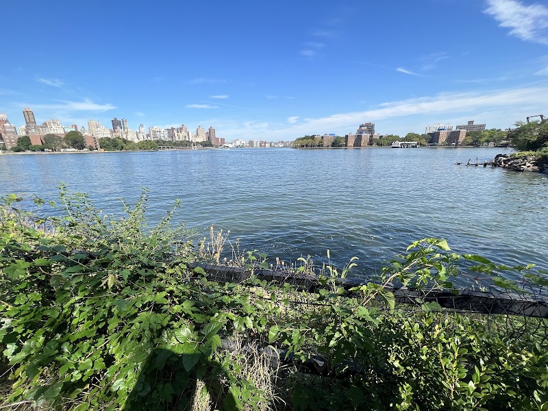 Socrates Sculpture Park