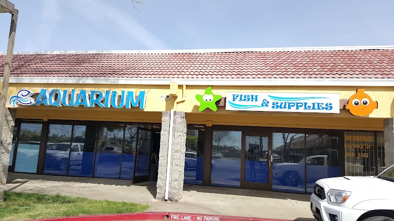 Splash Aquarium