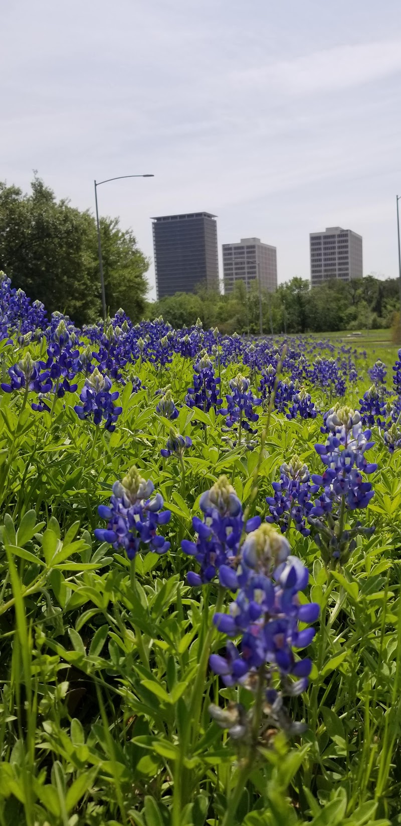 Spotts Park - Photo 9
