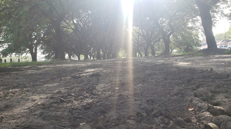 Squatty Lyons Park - Photo 4