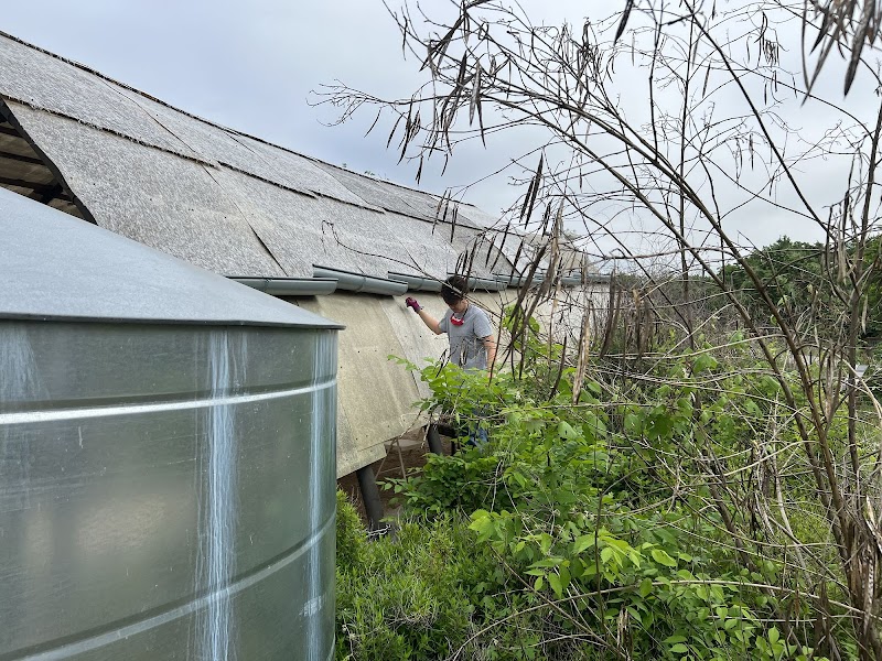 St David's Foundation Community Garden