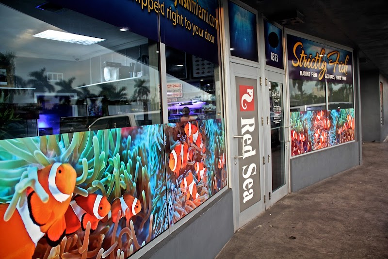Strictly Fish & Corals