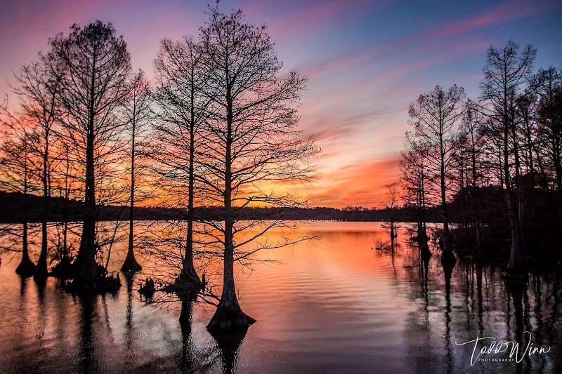 Stumpy Lake Natural Area