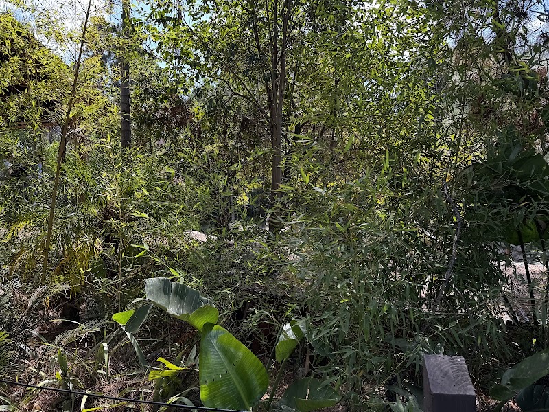 Sun Bear Canyon