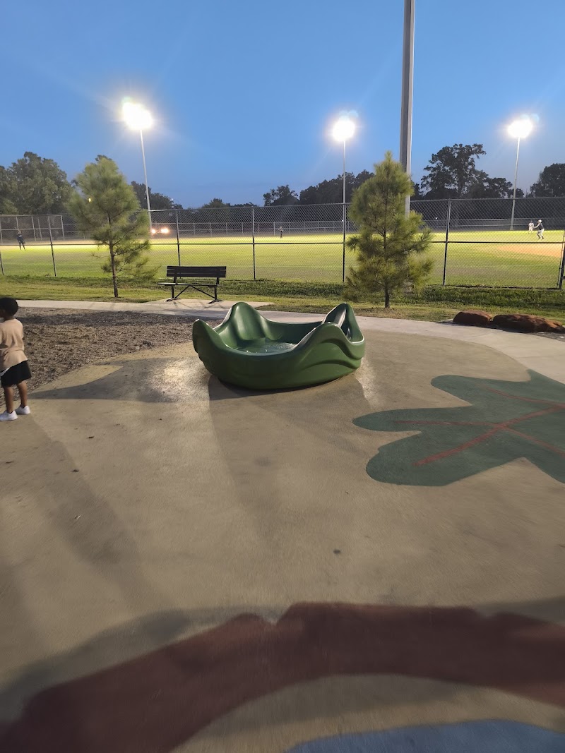 TC Jester Playground - Photo 7