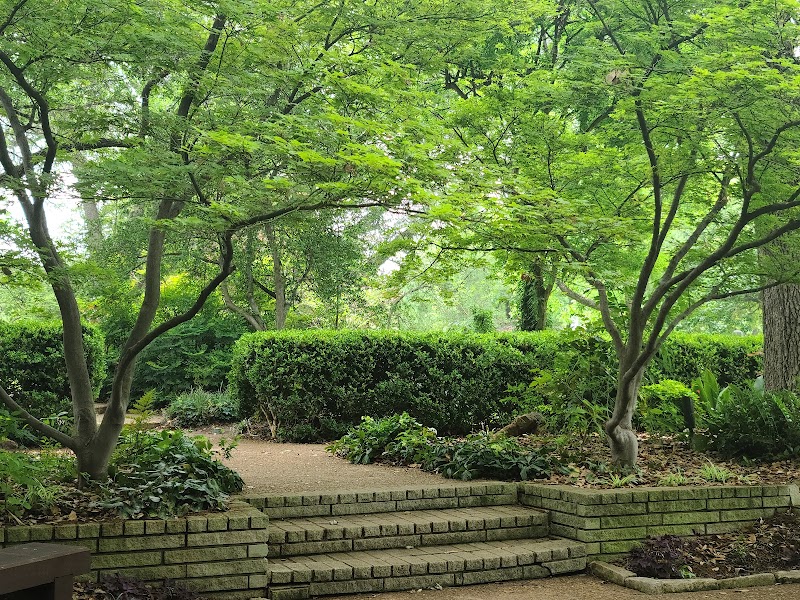 Texas Discovery Gardens at Fair Park - Photo 10