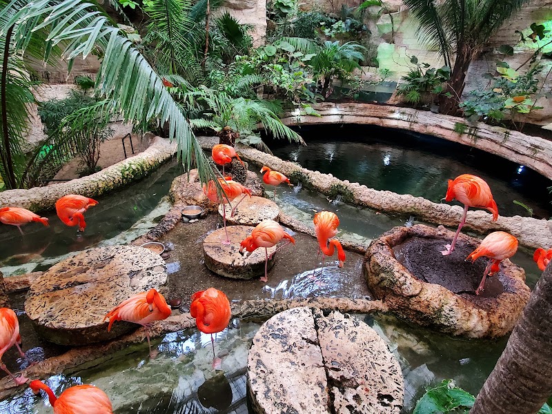 The Dallas World Aquarium