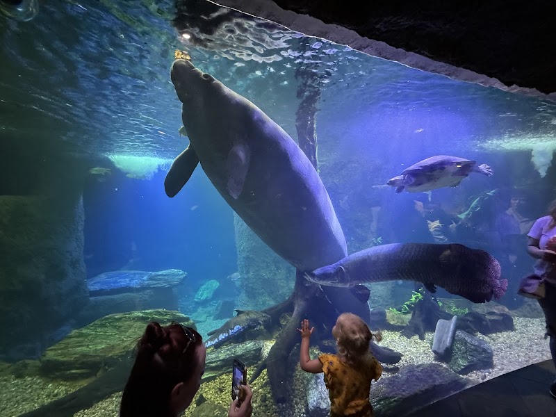 The Dallas World Aquarium - Photo 2