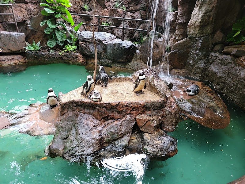 The Dallas World Aquarium - Photo 3