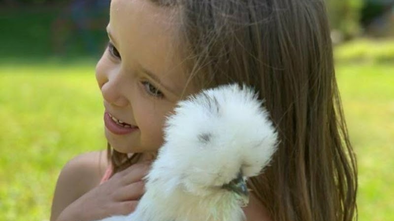 The Dunham Farm / Dunham Farm Wildlife Park / Petting Zoo
