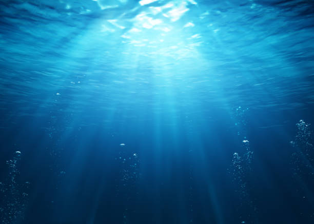 The Fish People