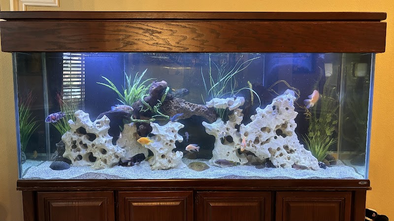 The Fish Tank Houston LLC