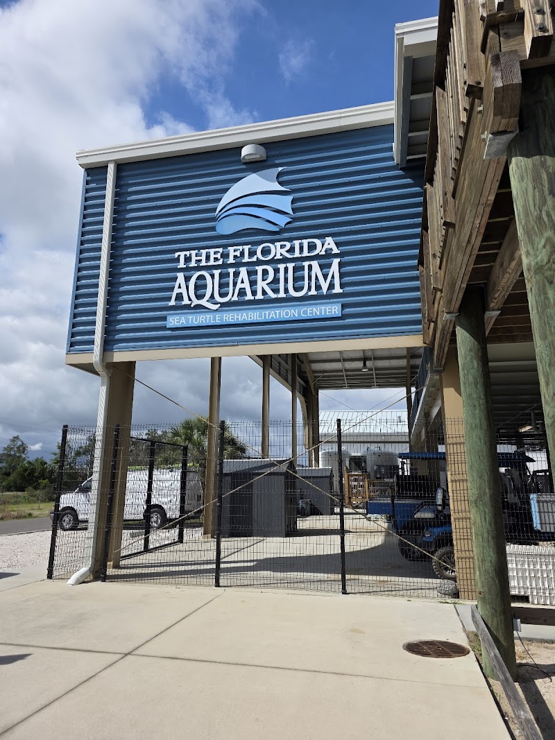 The Florida Aquarium Sea Turtle Rehabilitation Center