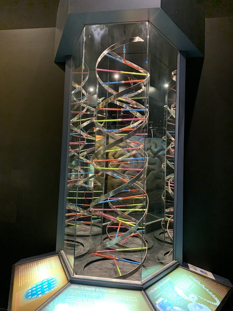 The Health Museum - Photo 10