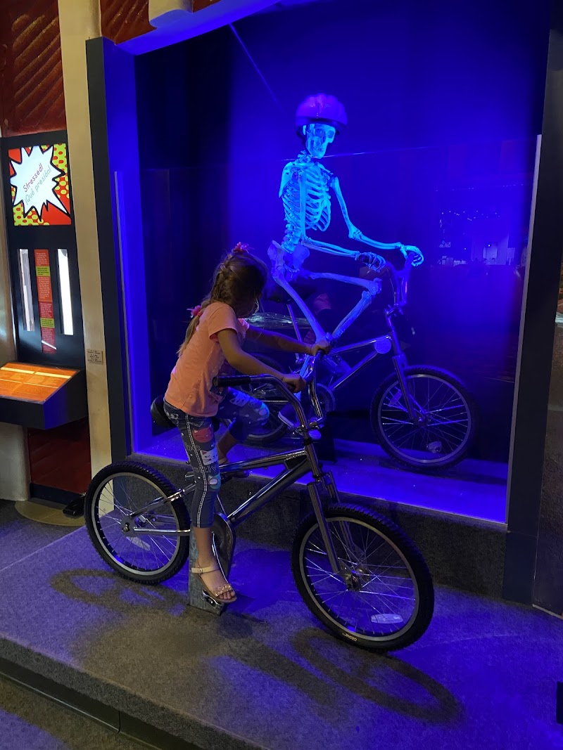 The Health Museum - Photo 8