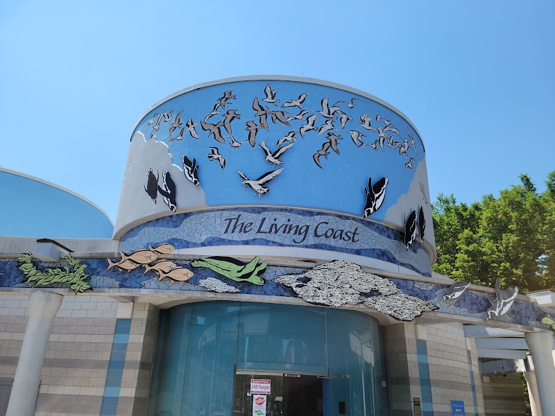 The Living Coast