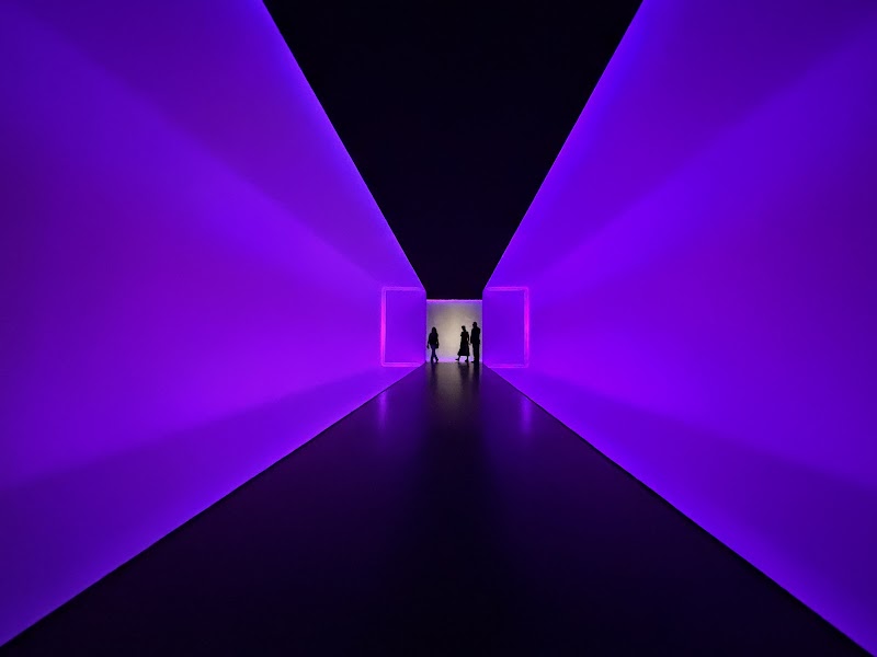The Museum of Fine Arts, Houston - Photo 3