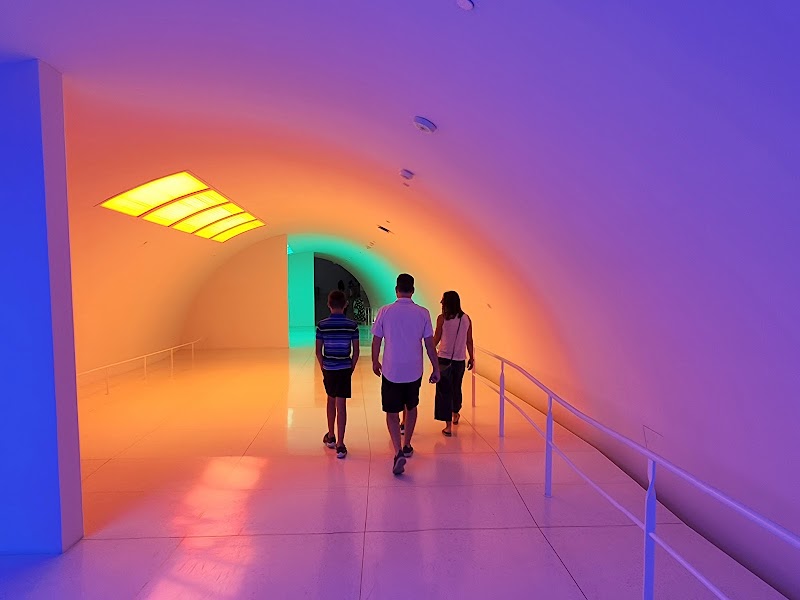 The Museum of Fine Arts, Houston - Photo 4