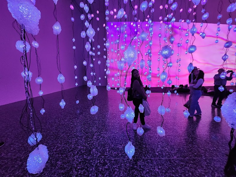 The Museum of Fine Arts, Houston - Photo 6