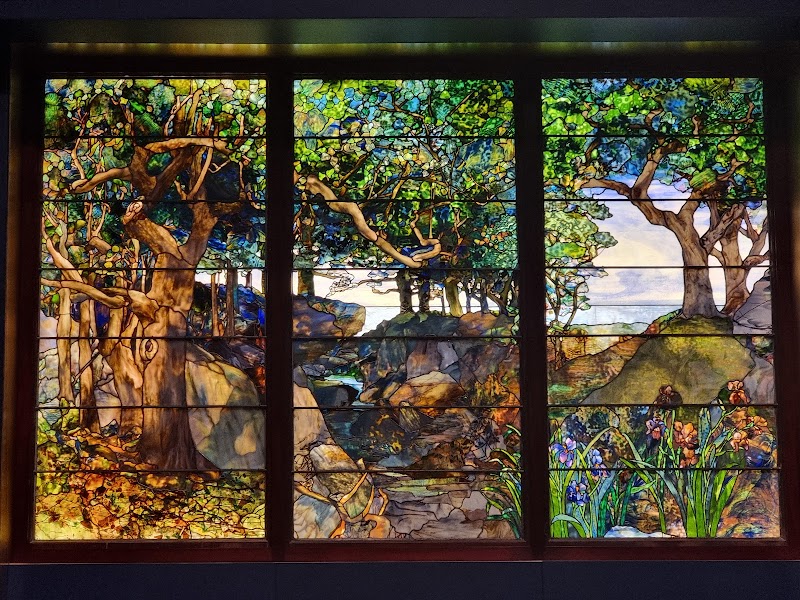 The Museum of Fine Arts, Houston - Photo 9