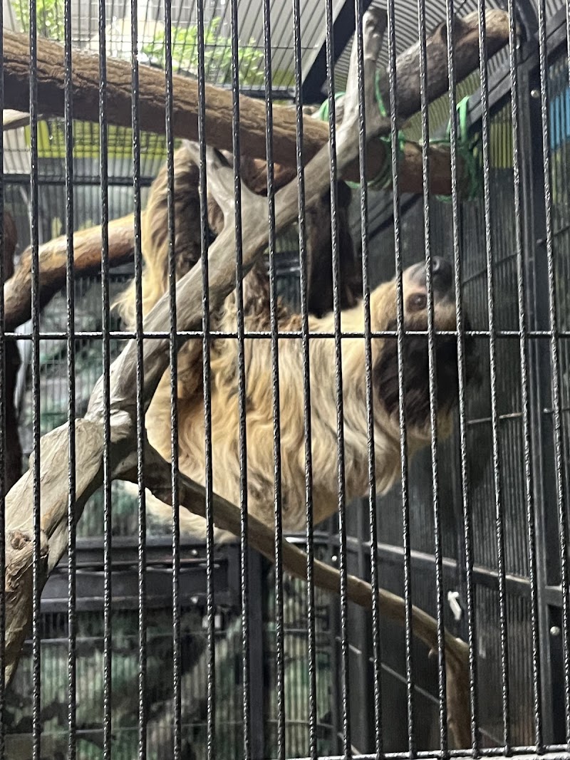 The Wildlife Education and Conservation Center(MUST GET TICKETS THROUGH WEBSITE!)