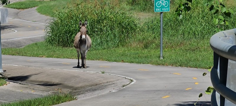 Tidwell Park - Photo 8