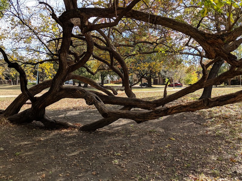 Tietze Park - Photo 4