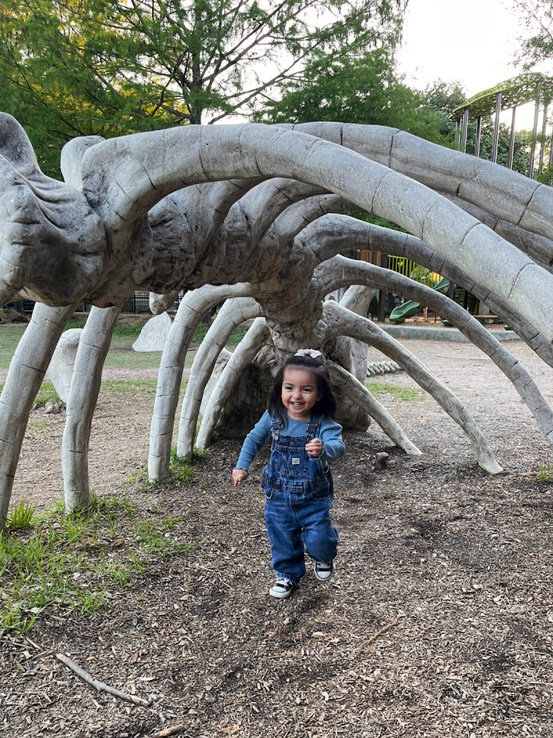 Travis Spark Park - Photo 4