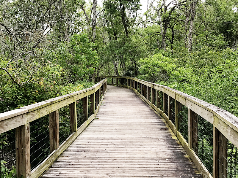 Tree Hill Nature Center