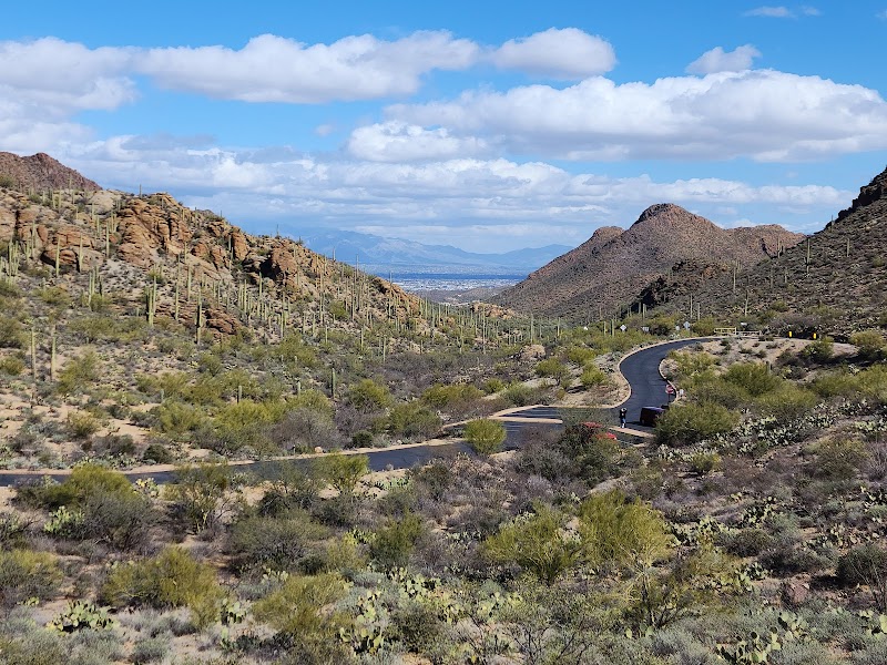 Tucson Mountain Park