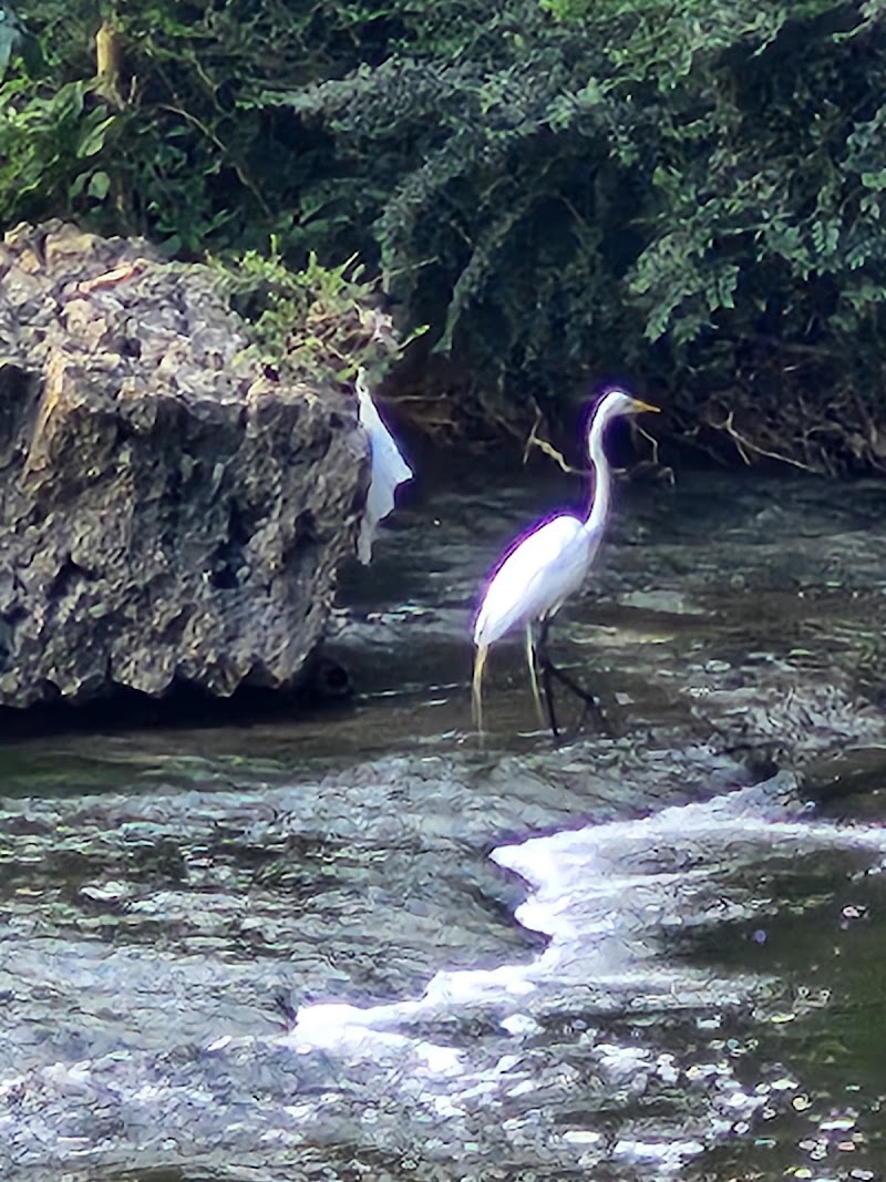 Turtle Creek Parkway Park - Photo 10