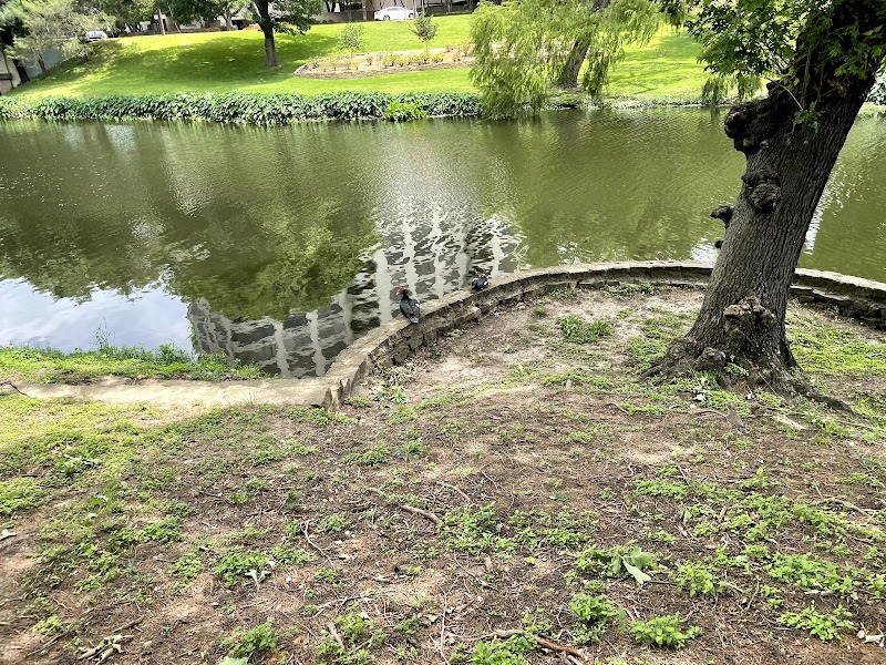 Turtle Creek Parkway Park - Photo 9