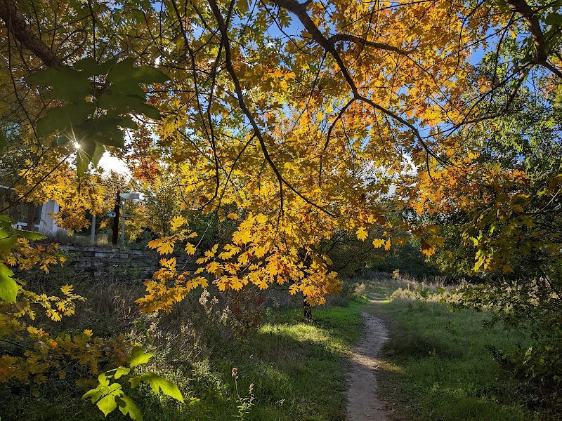 Twelve Hills Nature Center - Photo 2