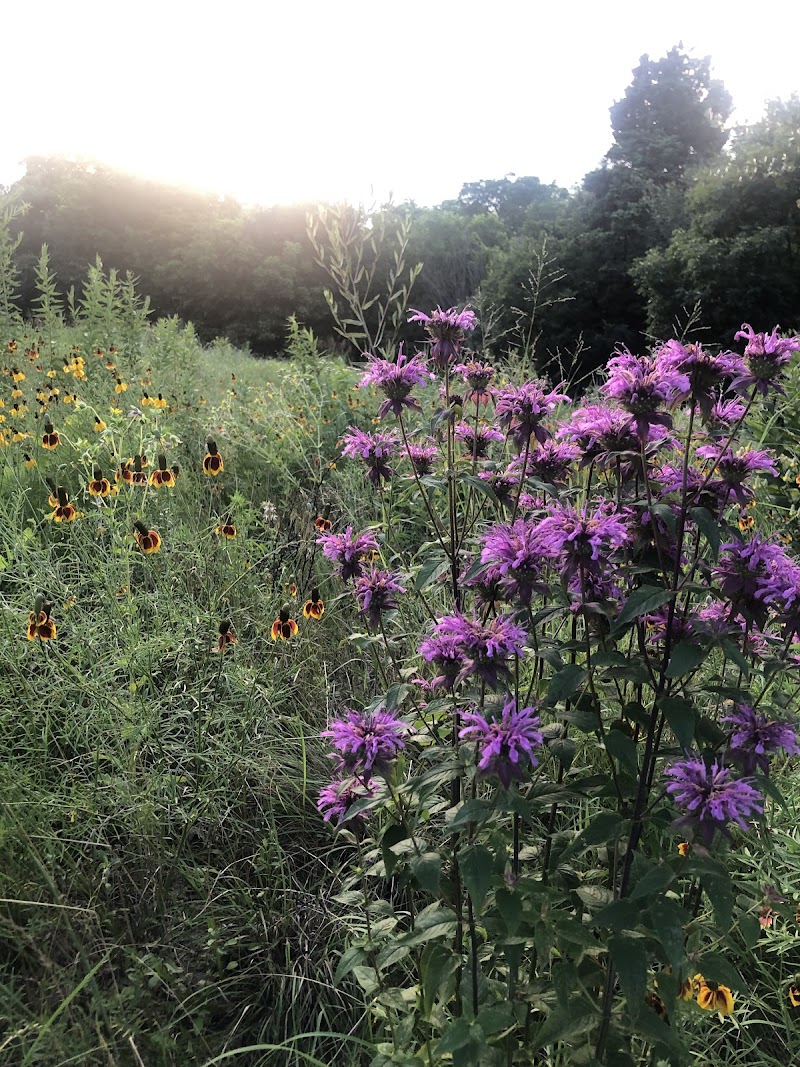 Twelve Hills Nature Center - Photo 7