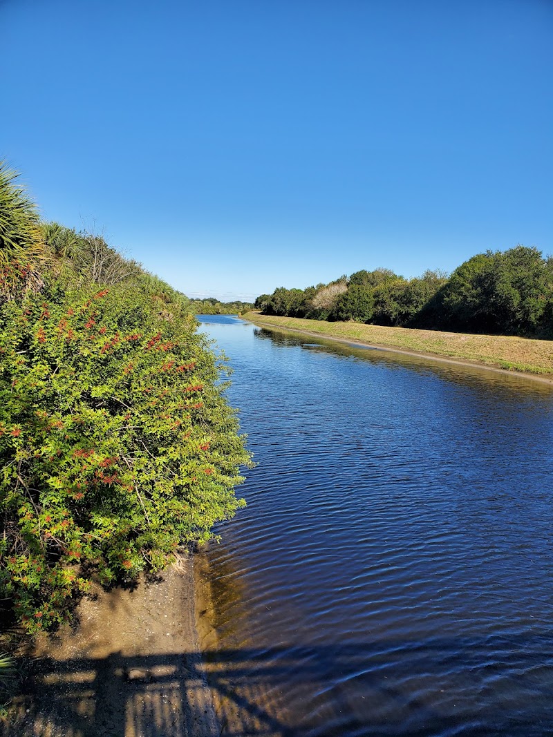 Upper Tampa Bay Trail-Montague St.